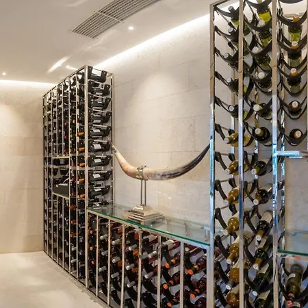Miraculous Brac With Winery And Gym Villa